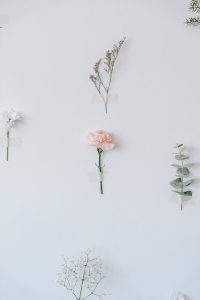 assorted blooming flowers and plant sprigs on white background